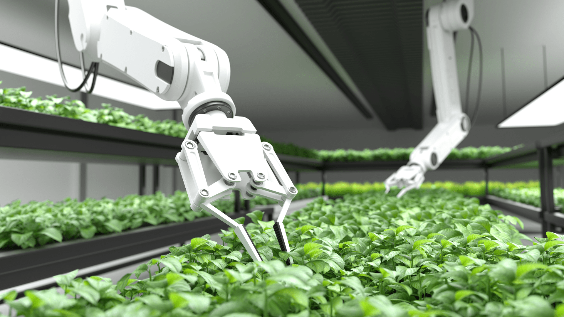 Agriculture & AgriTech Overview