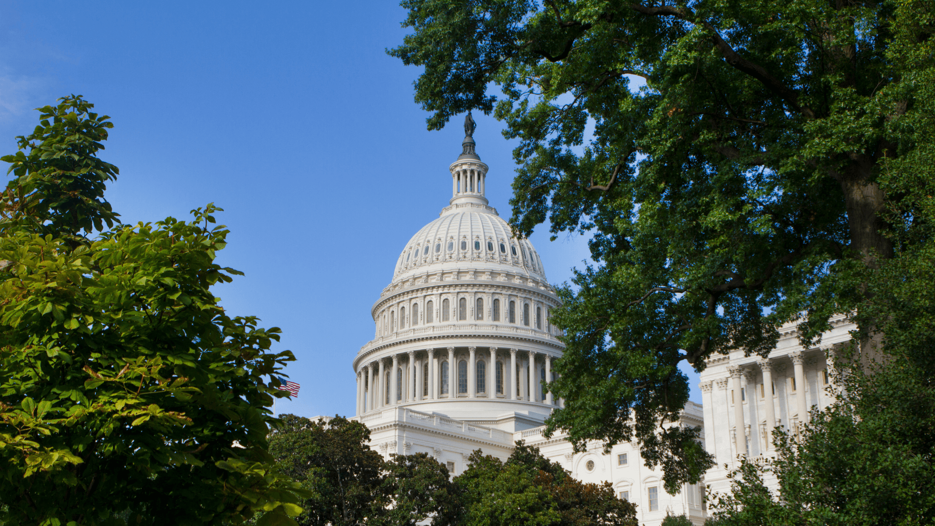 Government & Public Sector Overview